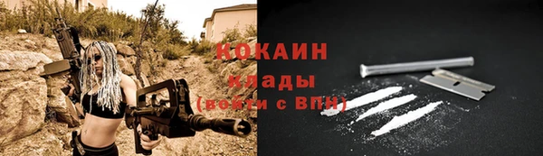 ALPHA PVP Покров