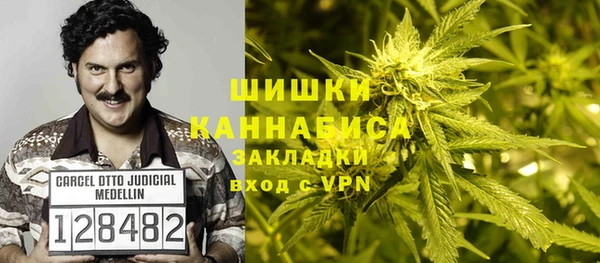 прущие крисы Покровск