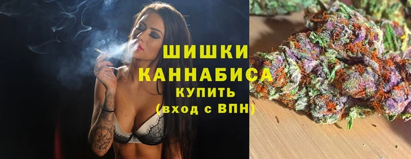 ALPHA PVP Покров