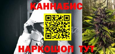 шишки Аргун