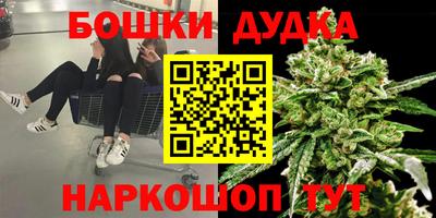 спиды Аргун