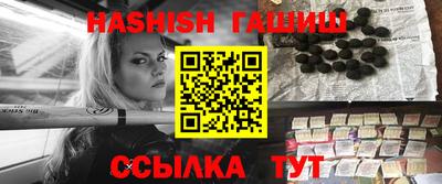 шишки Аргун