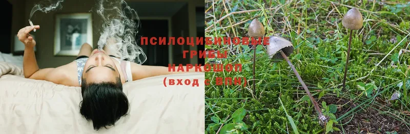 Галлюциногенные грибы Magic Shrooms  как найти закладки  Балахна 