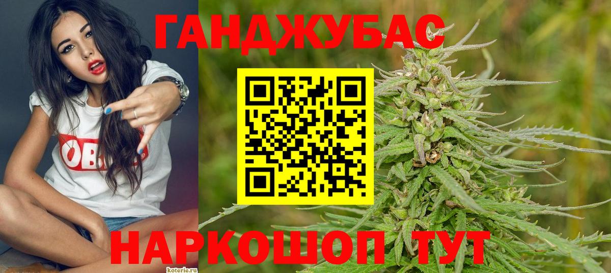 Конопля гибрид Балахна